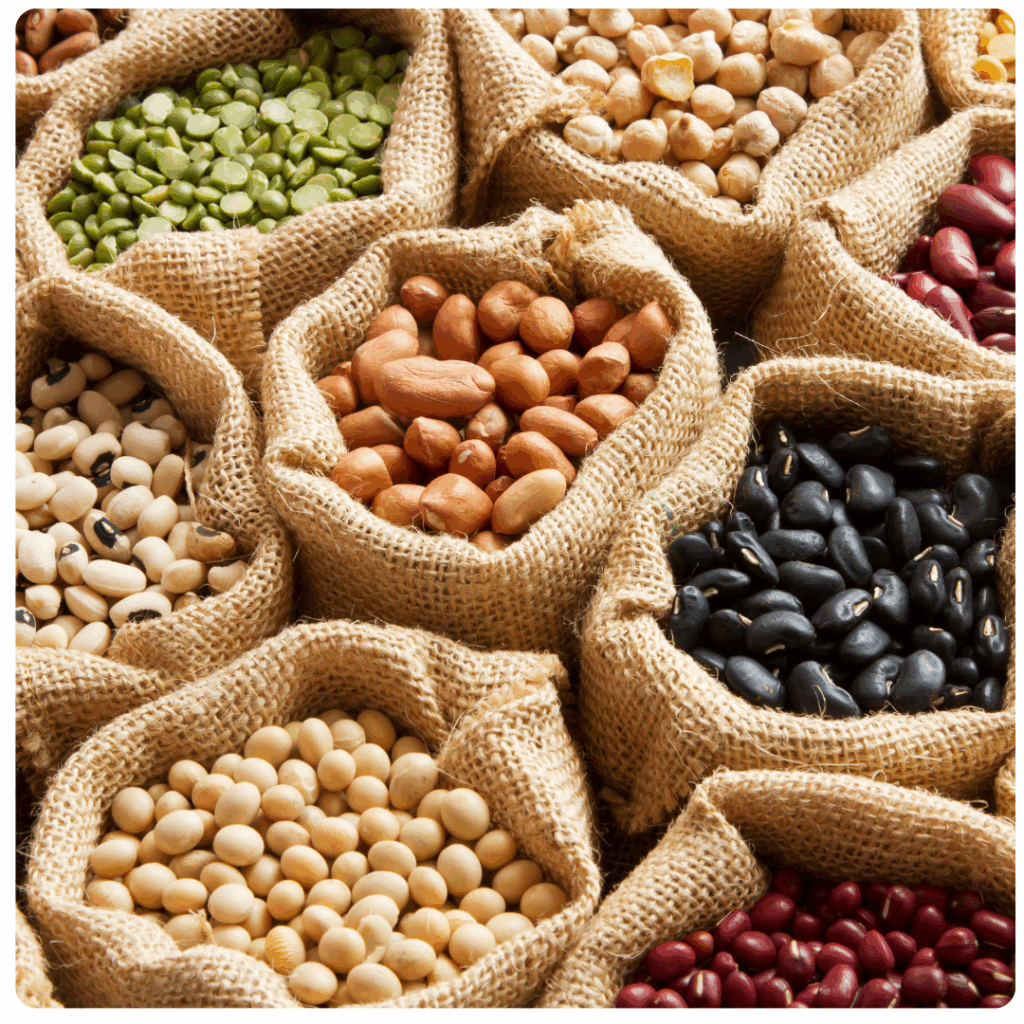 Alimentação GOSTO PURO Explicada 5 Leguminosas Fontes poderosas de proteína vegetal, ferro e fibras.